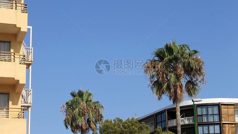 民宿与酒店价格差异背后的真相